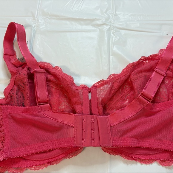 Paramour Vibrant Lace Bra in Hot Pink - Picture 2 of 3